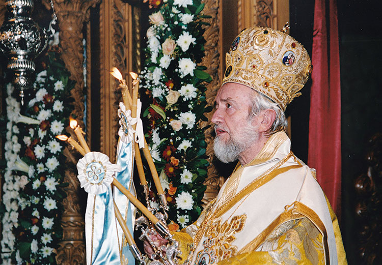 Homily - The Church and the World